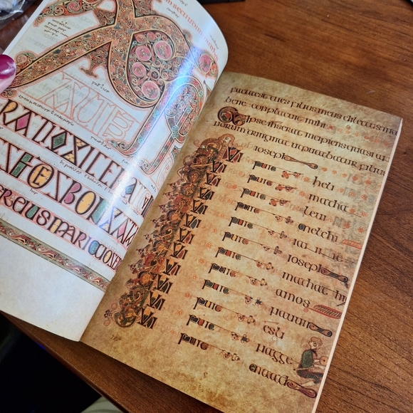 HOW THE IRISH SAVED CIVILIZATION, BOOK - Picture 6 of 10